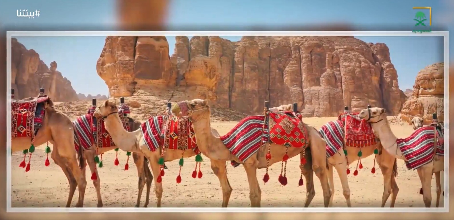 saudiatv