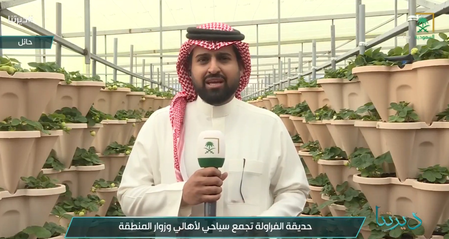 saudiatv
