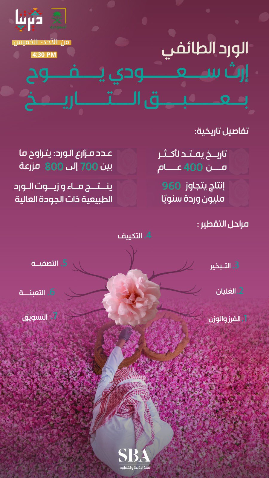 saudiatv