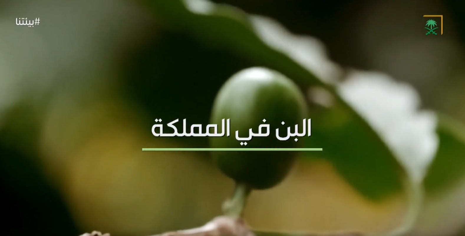 saudiatv
